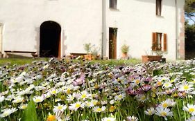 Hotel Locanda Minerva